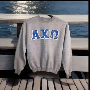 Vintage Y2K Alpha Chi Omega College Sorority Sweatshirt Women’s M Jerzees Gray